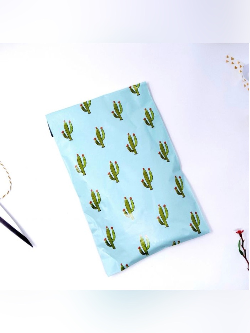 30 6” x 9” Cactus Poly Mailers
